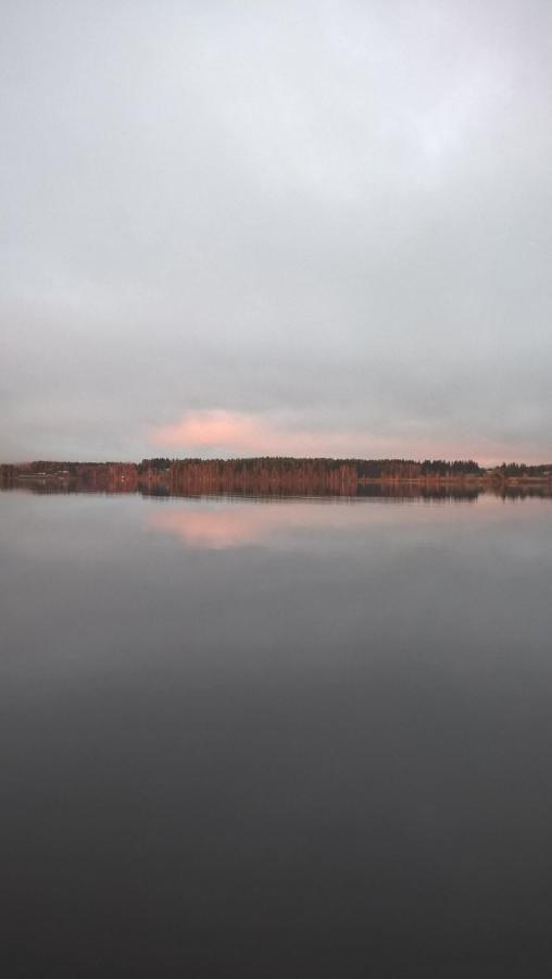 Guest House Haapaniemen Hirsikartano Iisalmi Kültér fotó
